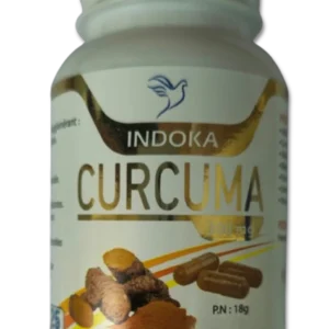 CURCUMA 60 GELULES